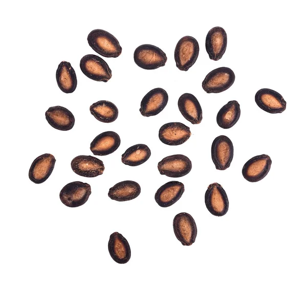 Melounová semena izolované na bílém pozadí — Stock fotografie