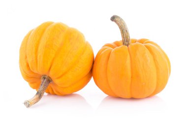 beyaz arkaplanda kabak