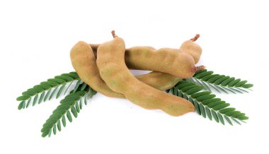 Beyaz arkaplanda tamarind