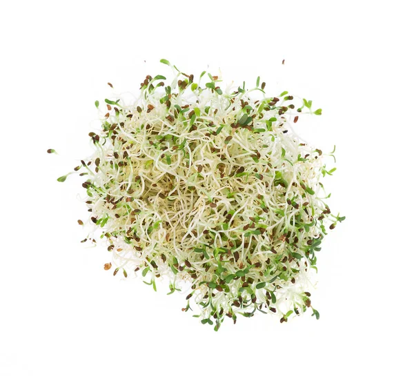 Heap of alfalfa sprouts on white background — Stock Photo, Image