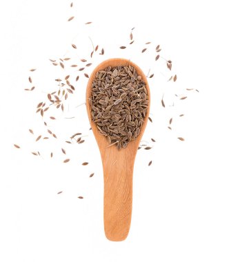 Beyaz arkaplanda izole edilmiş Karabatak Tohumları Yığını