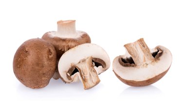 Mantar şampiyonu beyaz arkaplanda izole edildi