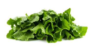 Beyaz arka planda taze Çin lahanası