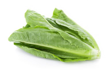 Beyaz arkaplanda taze marul var.