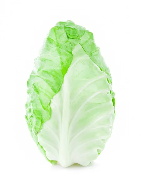 Pointed Cabbage Isolated White Background — Stock Photo, Image