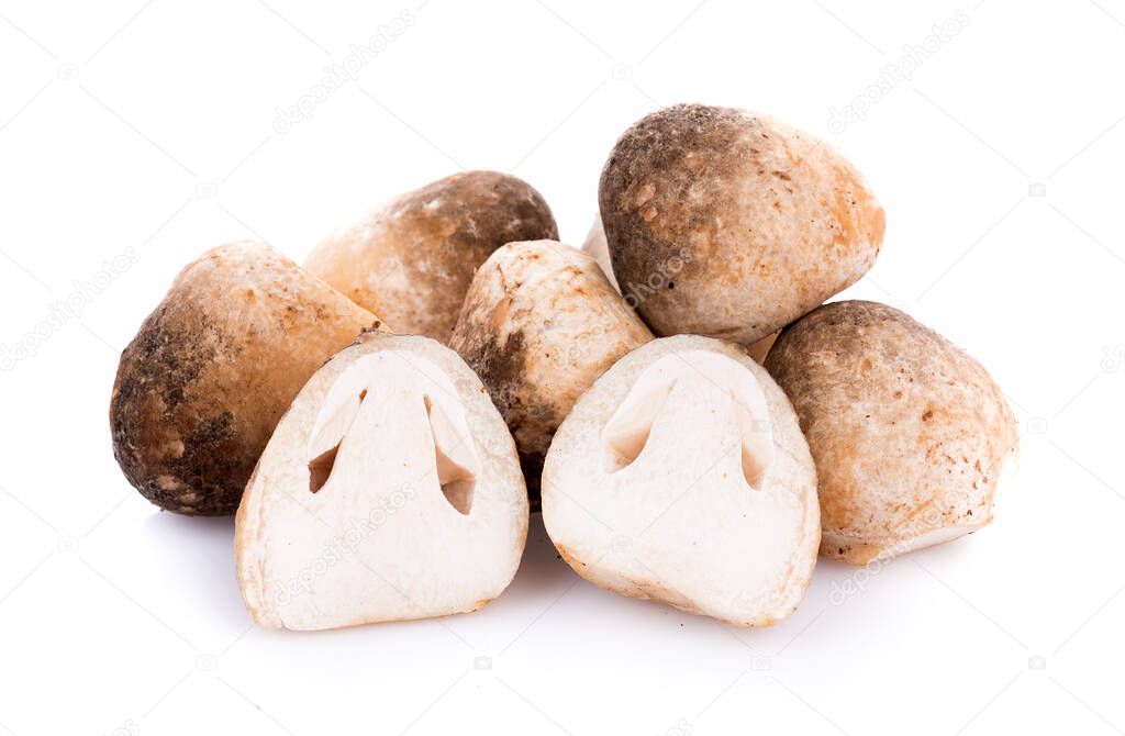 Straw mushrooms isolated on white background