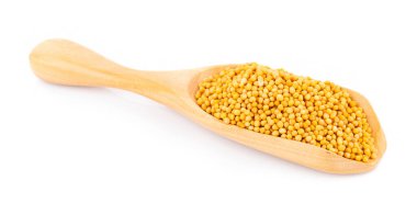 Beyaz arka planda izole edilmiş kaşıkta hardal tohumları