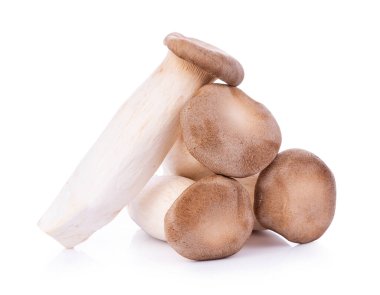 Beyaz arka planda Kral istiridye mantarı Pleurotus eryngii