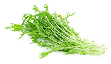 Mizuna marulu yalıtılmış Japon Hardalı, beyaz arka planda iyi sağlık için sebze salatası.