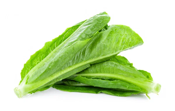 Fresh Cos Lettuce Isolated White Background — Stock Photo, Image