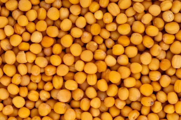 Closeup Mustard Seeds Background Stock Photo