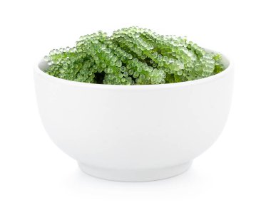 Beyaz arka planda deniz yosunu (yeşil havyar).