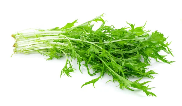 Mizuna marulu yalıtılmış Japon Hardalı, beyaz arka planda iyi sağlık için sebze salatası.