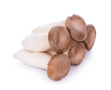 Beyaz arka planda Kral istiridye mantarı Pleurotus eryngii