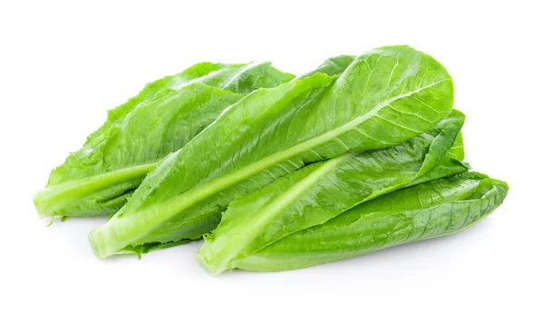 Fresh Cos Lettuce Isolated White Background — Stock Photo, Image