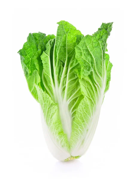 Fresh Chinese Cabbage White Background — Stock Photo, Image