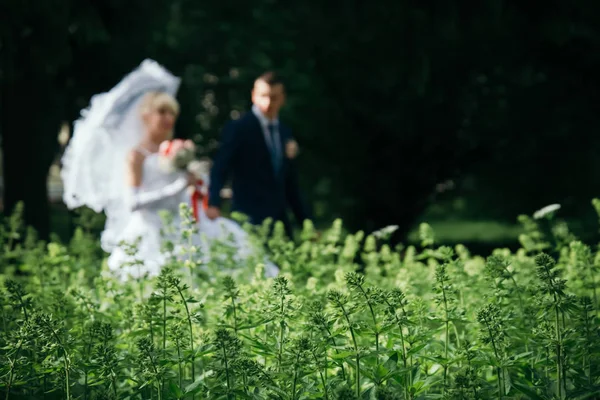 Bruid Bruidegom Lopen Park Vervaging Beeld — Stockfoto