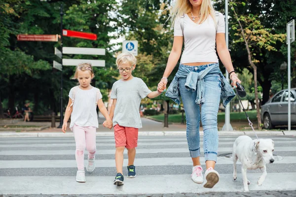 Mom with kids and dog cross the street at the pedestrian crossing. Mothers day.