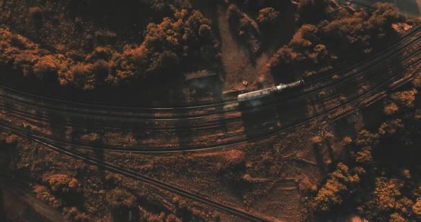 Fotografía Aérea Vista Superior Del Tren Que Viaja Por Ferrocarril — Vídeos de Stock