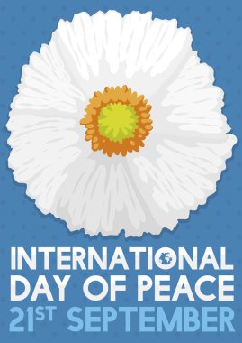 Uluslararası barış günü 21 Eylül içinde kutlamak için bir mavi benekli arka plan, tebrik ve anımsatıcı tarihi üzerinde güzel beyaz haşhaş.