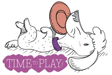 Onun en sevdiği oyuncak disk ve ustası ile oynamaya hazır sevimli fino köpeği yatırmak.