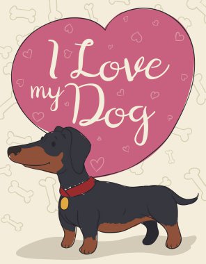 Tatlı sosis köpek ya da kalp şeklinde kabarcık konuşma gerçek aşk insanlar ve hayvanlar arasında gösterilen efendisinin aşık ile dachshund.