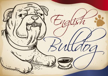 Zarif İngilizce bulldog el tarzı İngiliz çay saati için hazır çizilmiş.
