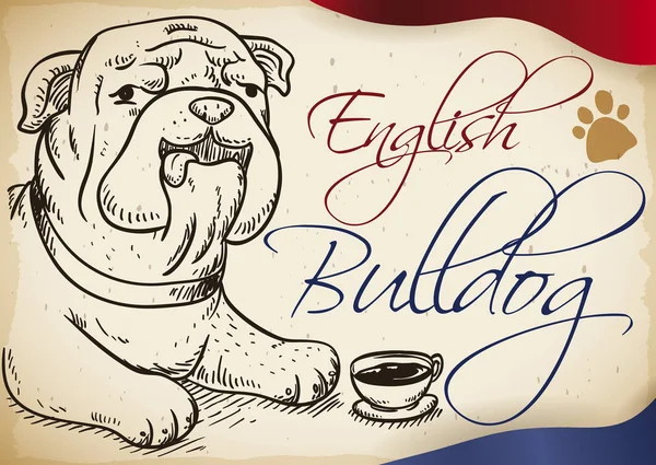 Bouledogue Anglais Élégant Style Dessiné Main Prêt Pour Thé Britannique — Image vectorielle