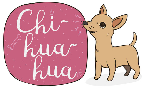 Mischievous Chihuahua Barking at a Sign, Vector Illustration