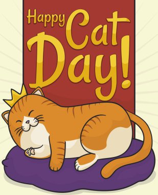 Bir taç giyen ve kedi günü kutlama sırasında bir kral olmayı hayal şirin, uyku tombul kitty.