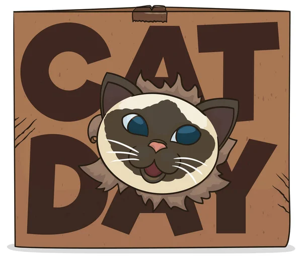 段ボール箱 祝うと猫の日の推進を通じてその顔を見せて幸せといたずらのヒマラヤ猫 — ストックベクタ