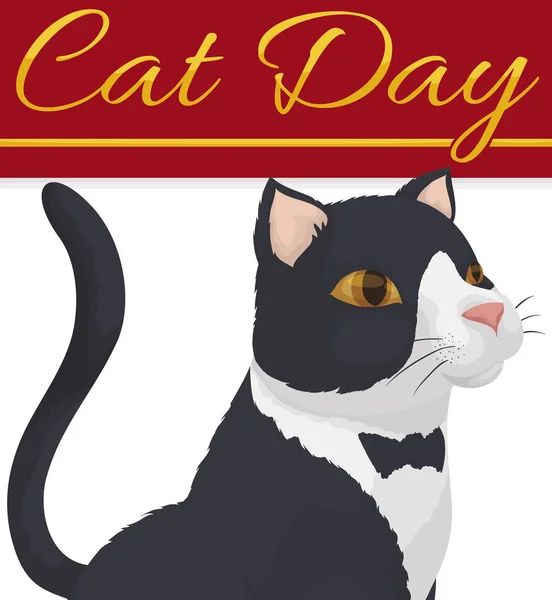 Elegante Gato Blanco Negro Con Hermosa Piel Como Distinguido Esmoquin — Vector de stock