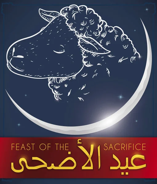 Sterrenhemel met lam en wassende maan tijdens Eid al-Adha, vector illustratie — Stockvector