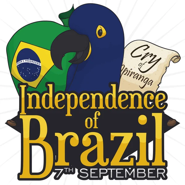 Bandeira, arara jacinto e pergaminho para comemorar o Dia da Independência do Brasil, ilustração vetorial — Vetor de Stock