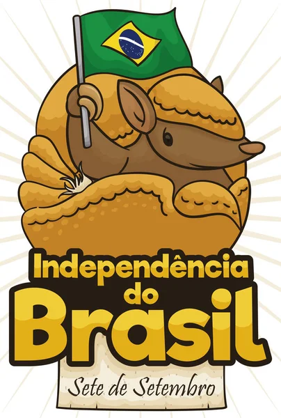 Armadillo bonito em forma de bola comemorando o Dia da Independência do Brasil, ilustração vetorial — Vetor de Stock