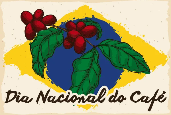 Pergamino Con Planta Café Estilo Dibujado Mano Colores Bandera Brasil — Archivo Imágenes Vectoriales