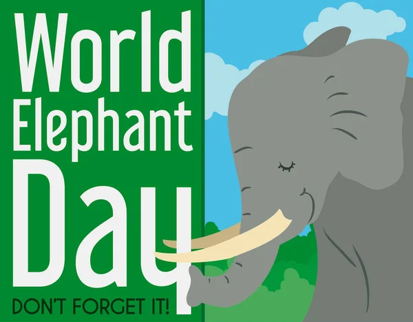 Elefante Femenino Sereno Sosteniendo Letrero Que Recuerda Que Olvide Celebración — Vector de stock