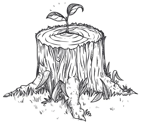 Sapling Poussant Dans Tronc Abattu Comme Symbole Espoir Reforestation — Image vectorielle