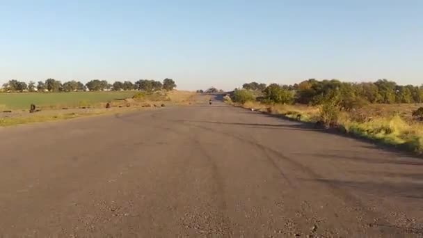 Motorcyclist Rides Road Stock Video