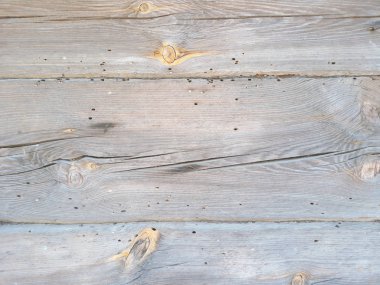 Ağaç dokusu. Tasarım ve dekorasyon için eski ahşap tahta duvar arka plan