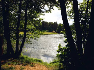 Novogrudok, Belarus-12 Haziran 2018: göl bir yaz güneşli bir gün ağaçların arkasında