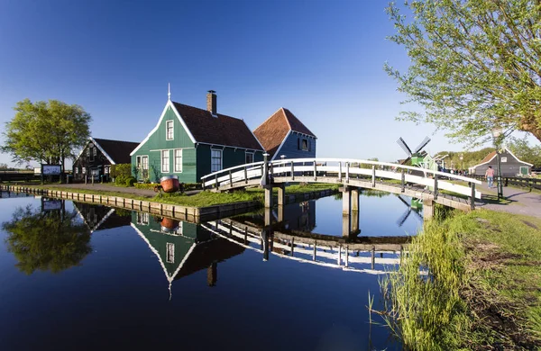 Historiska Väderkvarnar Zaanse Schans Byggt Cirka Talet Landsbygden Amsterdam Nederländerna — Stockfoto