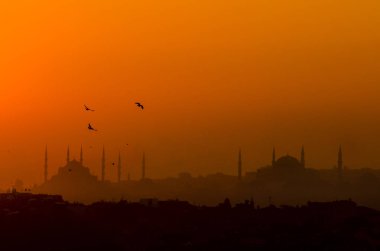 Ayasofya ve Sultanahmet Camii ile Istanbul silüeti sırasında günbatımı ile uçan kuşlar