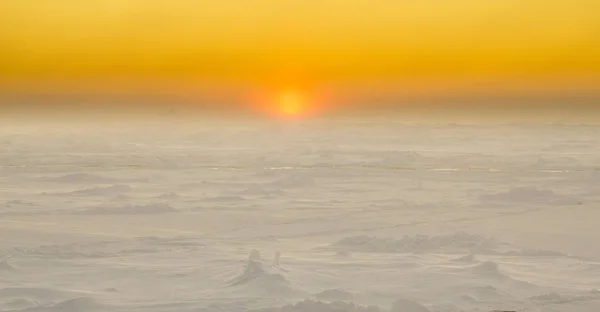 Uitgestrekte Bevroren Oceaan Antarctica Aan Boord Een Ijsbreker Onderzoek Genomen — Stockfoto