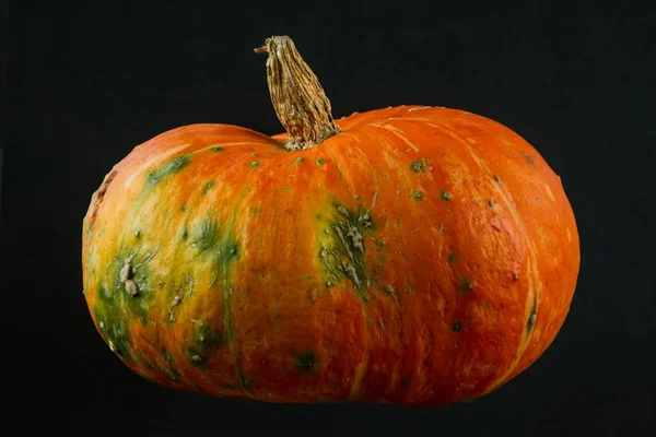 Siyah arkaplanda turuncu balkabağı