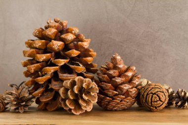 Farklı diken üstünde gri arka plan ve ahşap tahta