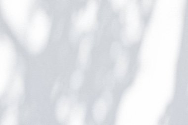 Beyaz Duvara Yansıyan Yaprakların Gölgesi