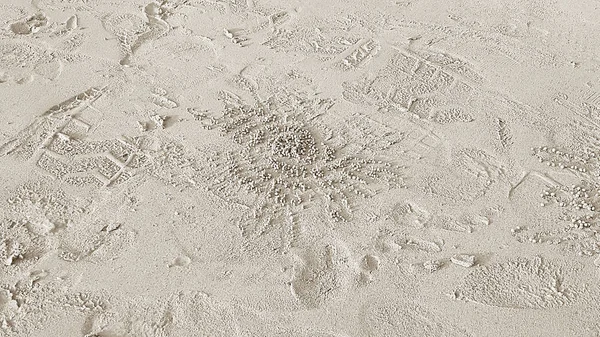 Voetafdrukken Horizontale Landschap Gat Van Ocypode Ceratophthalma Krab Een Zandstrand — Stockfoto