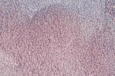 iki ton inci renk doku ve arka plan ile çimento veya beton duvar boyalı