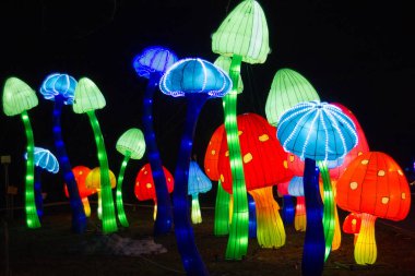 Mantar. Belarus, Minsk - 19 Mart 2019: Lantern Festivali Minsk Botanik Parkı, Beyaz Rusya, sergi